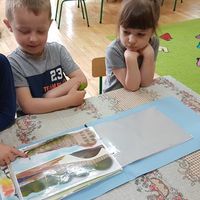 g398 010 20190520 074535