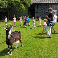 g401 024 20190604 123649