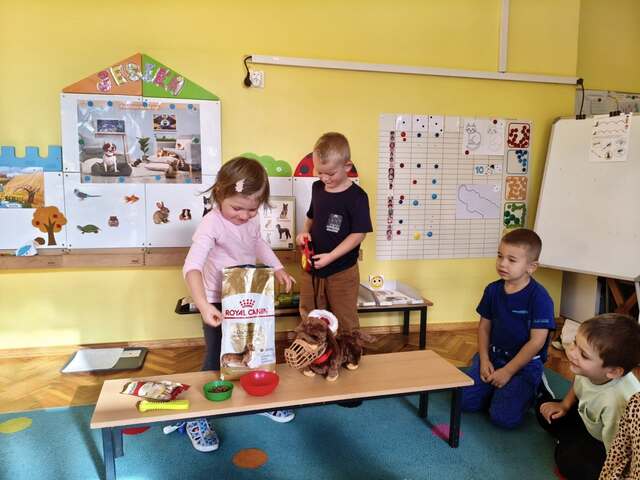 Opiekujemy się zwierzętami gr. II 2025 1