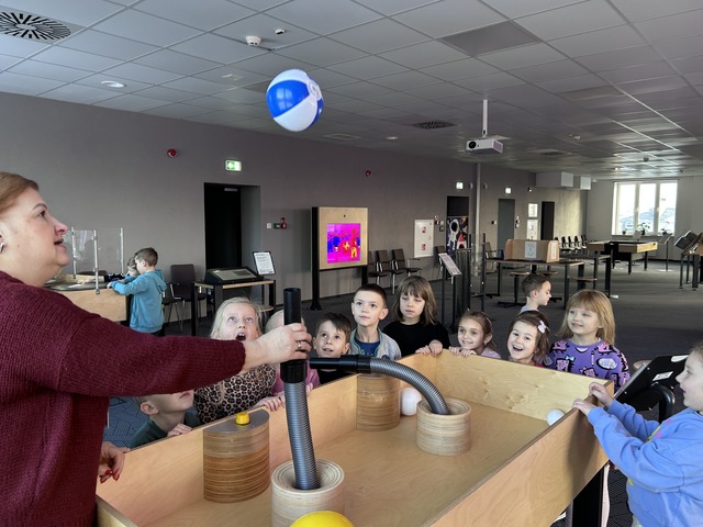 SOWA gr. III i IV 01.2025 2