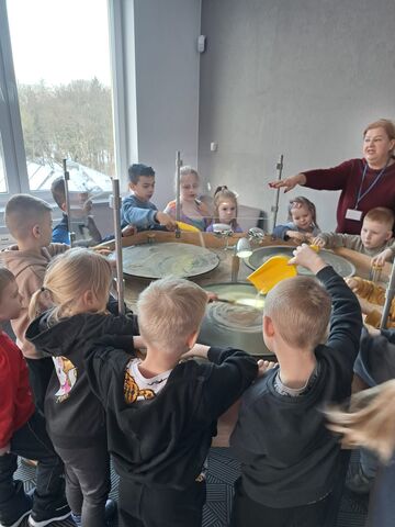 SOWA gr. III i IV 01.2025 3