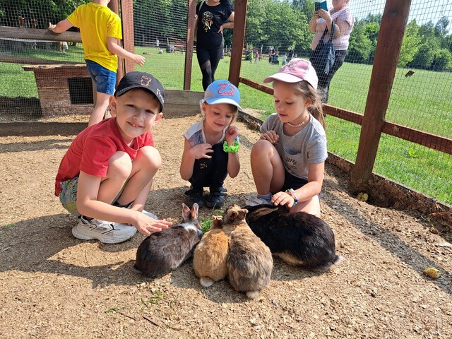 rogate ranczo gr. IV 06.2025